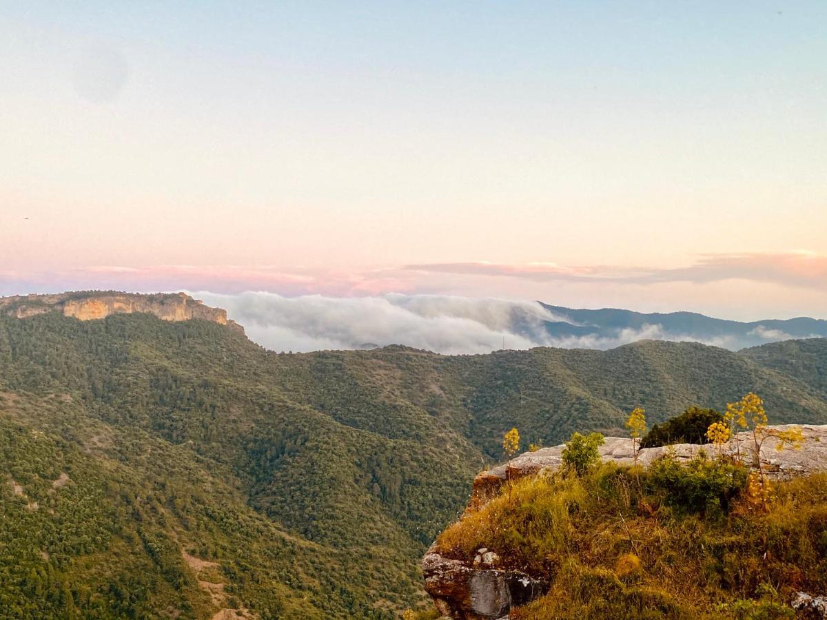 Apartaments Chenin Blanc-Priorat- Cornudella de Montsant ภายนอก รูปภาพ