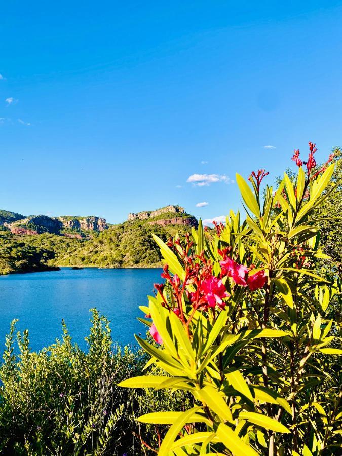 Apartaments Chenin Blanc-Priorat- Cornudella de Montsant ภายนอก รูปภาพ